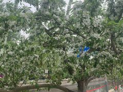 -元大都城垣遗址公园