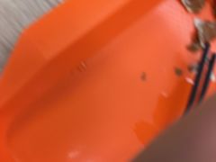 -新丰小吃(星尚店)