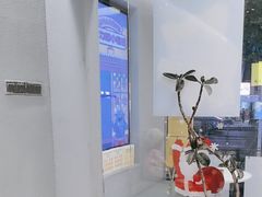 -茶力的小怪兽(梅林卓悦汇店)
