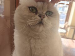 -雕刻时光·咖啡·酒吧·西餐(香山店)