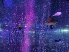 -沈阳海洋探索中心