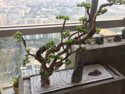 -松和日式美容整骨