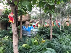 -南宫五洲植物乐园