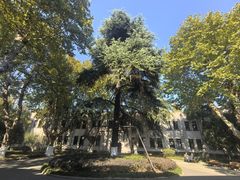 -南京中国近代史遗址博物馆(南京总统府)