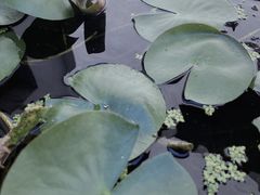 -宁波市保国寺古建筑博物馆