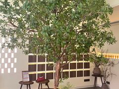 -静耳元気采耳·按摩·SPA(万象前海店)