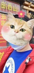 -艺格造型染发烫发