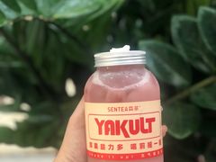 红石榴益力多-SENTEA森茶(麦地丽日店)