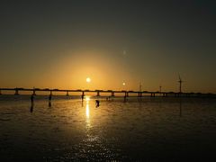 -南汇新城海滩