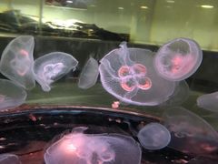 -常州海昌海洋探索馆