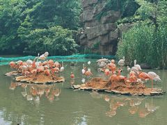 -宁波野生动物园