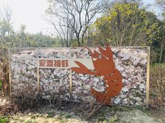 -昆山城市生态森林公园