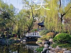 -曲江春晓苑