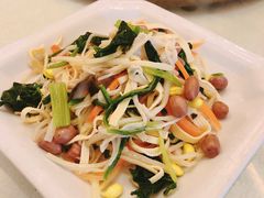 -丁老爷子苏香圆