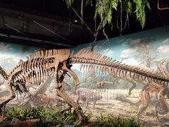 -辽宁古生物博物馆