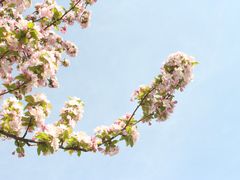 -海棠花溪(元大都城垣遗址公园)