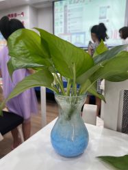 -中法母婴月子中心(南湖创始店)