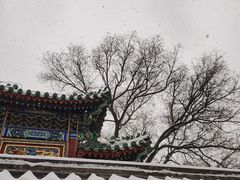 -故宫博物院(故宫)