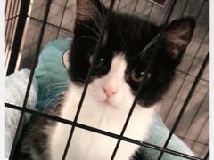 -SAH健身私教工作室(紫东店)