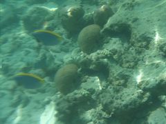 -春秋旅游(定西路营业部)