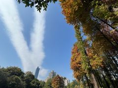 -晓港公园