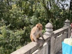 -苏州上方山国家森林公园