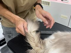 -爱洗澡的猫(天河路店)