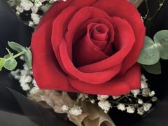 -小八仙·宴(三峡茶庄店)