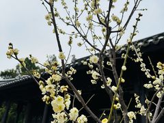 -清晏园