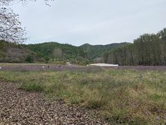 -紫海香堤香草艺术庄园