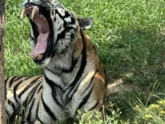 -西霞口神雕山野生动物世界