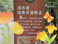 -滴水岩森林公园
