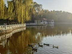-丰台花园