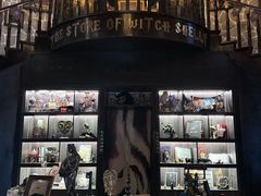 -雪灵魔法世界SHELLY’S TAROT(大良桂畔里店)