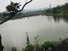 -枫香湖儿童公园