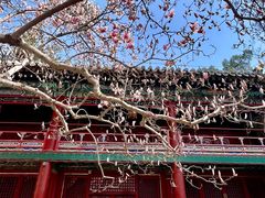 -潭柘寺景区