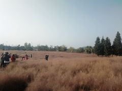 -羊亭河湿地公园