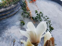 -乌山风景区