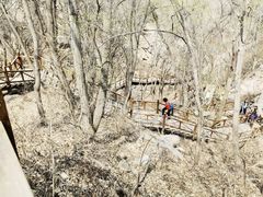 -大岭沟猕猴桃谷风景区