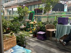 -大鱼·养生·禅洗头疗·按摩SPA