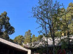 -寂照庵
