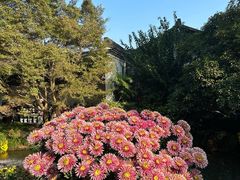 -杭州植物园