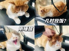 -鸡公煲烤鱼·石锅鱼(万科时1区店)