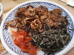 -吉野家(红博中央公园店)