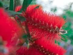 -桤木河湿地公园