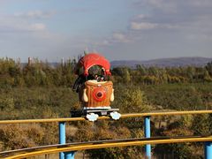 -霸王河欢乐世界