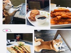 -Boxing Cat Brewery拳击猫精酿啤酒馆(永福店)