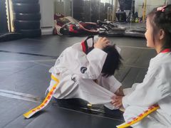 -金翼跆拳道巴西柔术拳击格斗学院