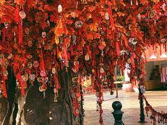 -郑州方特梦幻王国