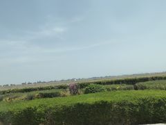 -敕勒川草原文化旅游区